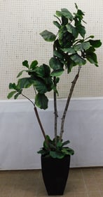 Modern Faux Plant