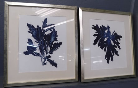 Pair of Framed Prints