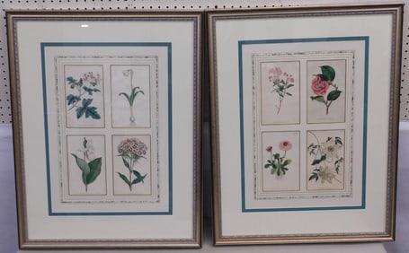 2 Botanical Framed Prints