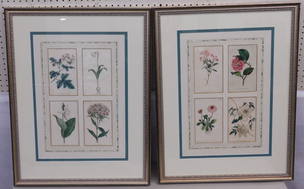 2 Botanical Framed Prints (1 of 7)