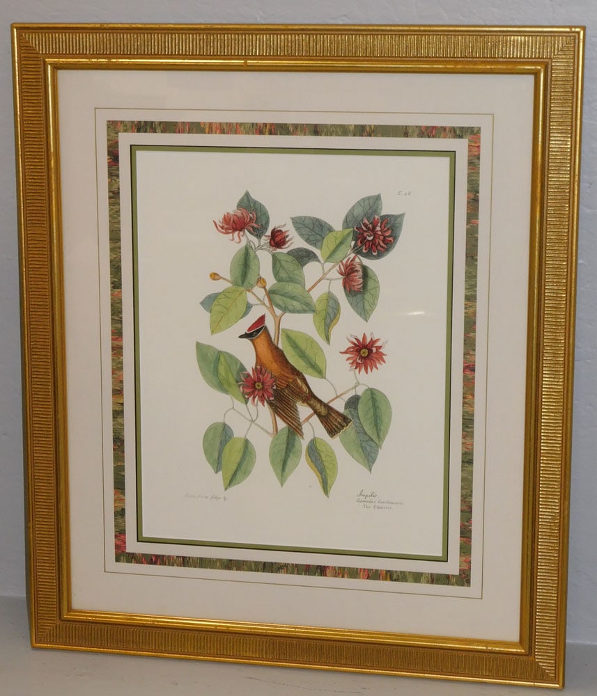 Gilded Frame & Matted Audubon Print Entitled 'The Chatterer' (1 of 5)