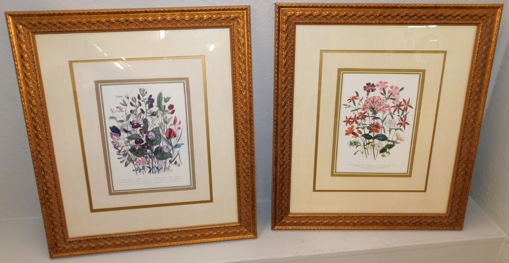 Pair of Framed Botanical Prints (1 of 6)