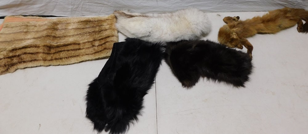 Lot of Fur Items: Lot of Fur Items. "ALL DESCRIPTIONS AND ANY CONDITION STATEMENT GIVEN BY LANGSTON AUCTION GALLERY ARE STRICTLY OPINIONS AND LANGSTON'S SHALL HAVE NO RESPONSIBILITY FOR ERRORS OR OMISSIONS. THE ABSENCE