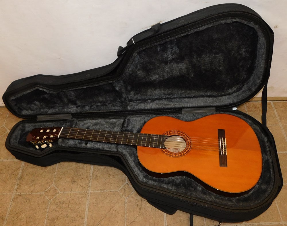 vintage guitar in case (1 of 8)