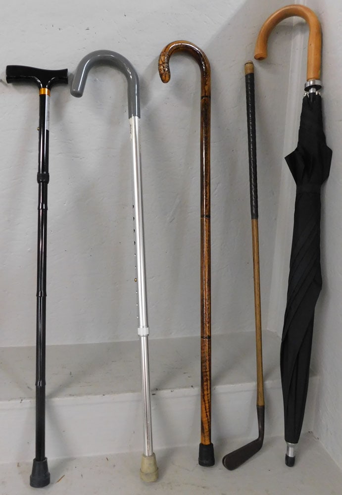 Walking Stick & Antique Cast Iron Golf Club (1 of 3)