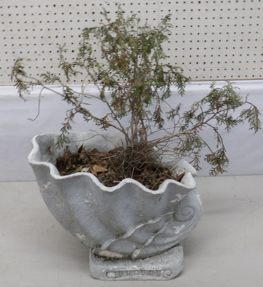 Seashell Form Resin Planter (1 of 2)