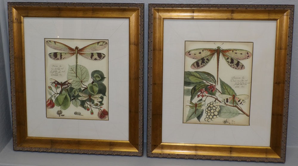 Pair of Framed & Matted Dragonfly Botanical Engravings (1 of 3)