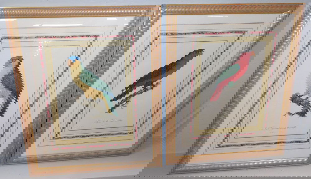 2 framed bird prints (1 of 5)