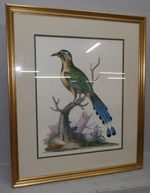 framed bird print