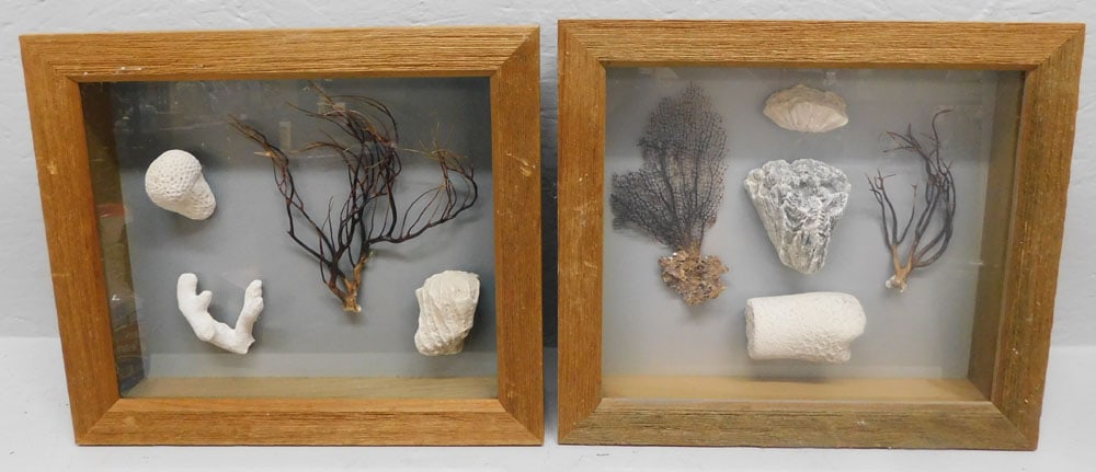 2 deep shadowbox framed wall hangings (1 of 5)