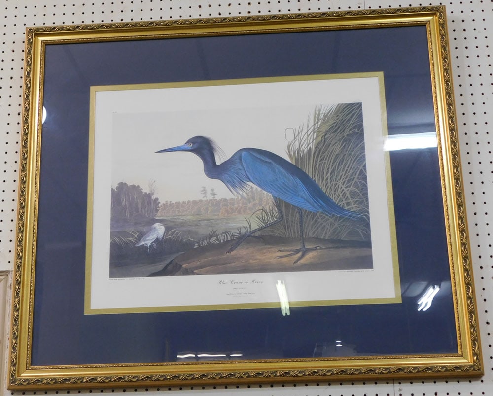 framed j. Audubon print of blue heron (1 of 5)