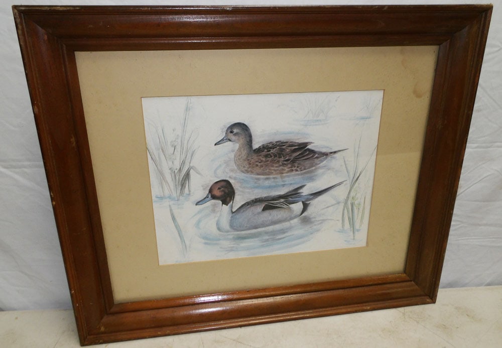 Framed Duck Print (1 of 4)