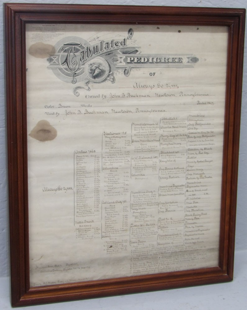 Framed Antique Horse Tabulated Pedigree Document, Signed & Dated (1 of 5)