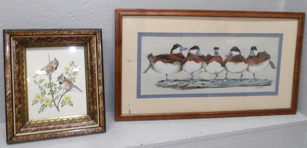 framed bird print and duck print (1 of 4)