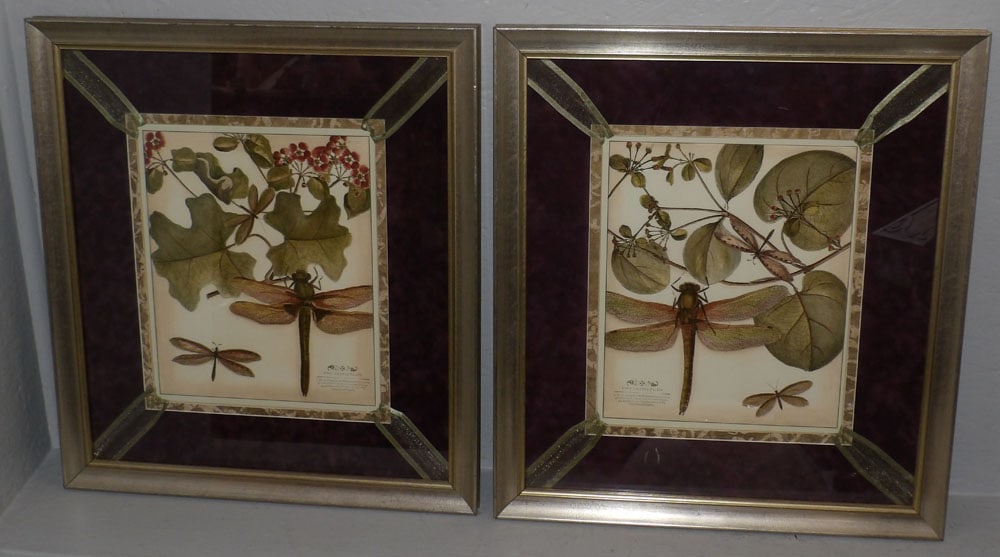 Pair of Framed & Matted Dragonfly Botanical Prints (1 of 6)