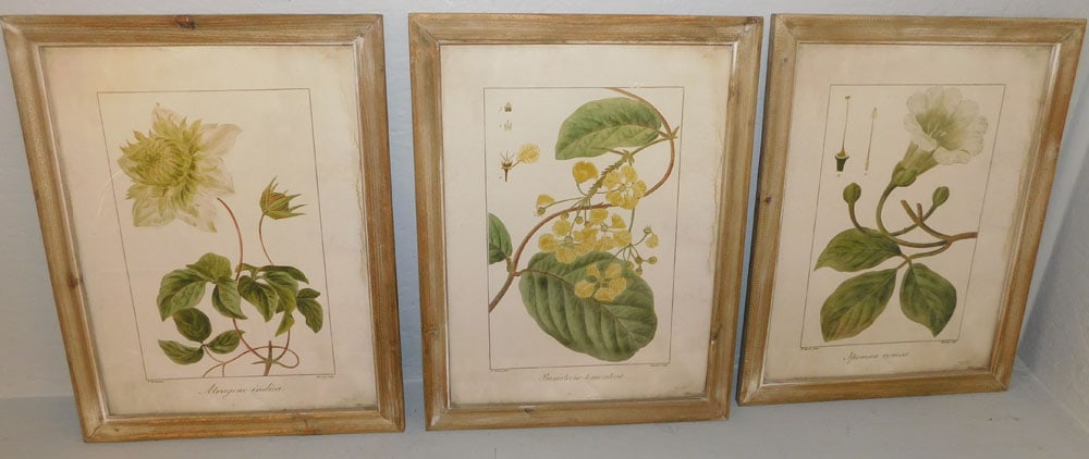 3 botanical frame prints (1 of 4)