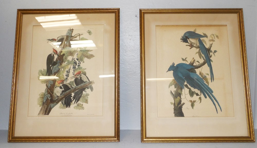 pair of frame prints (1 of 5)