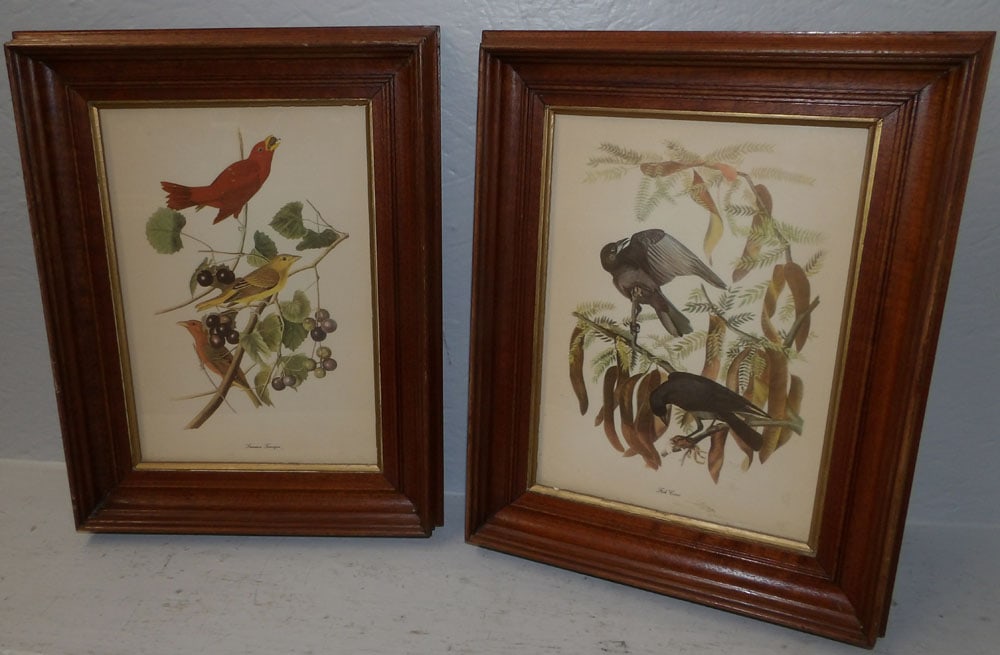 Pair of Walnut Shadowbox Framed Audubon Prints (1 of 4)