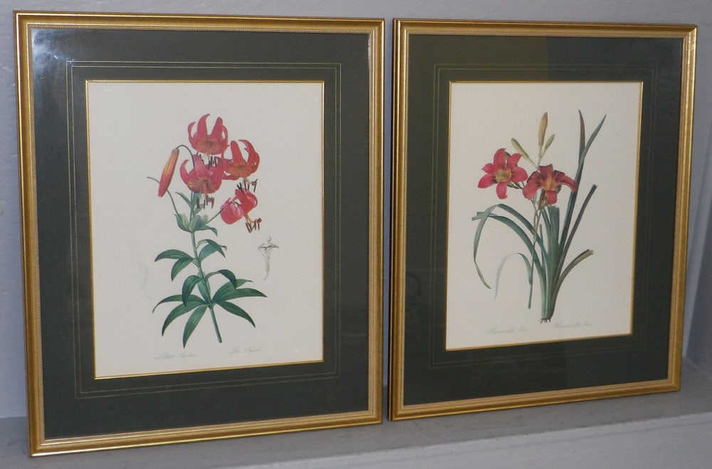 Pair of Framed & Matted Floral Botanical Engravings (1 of 5)