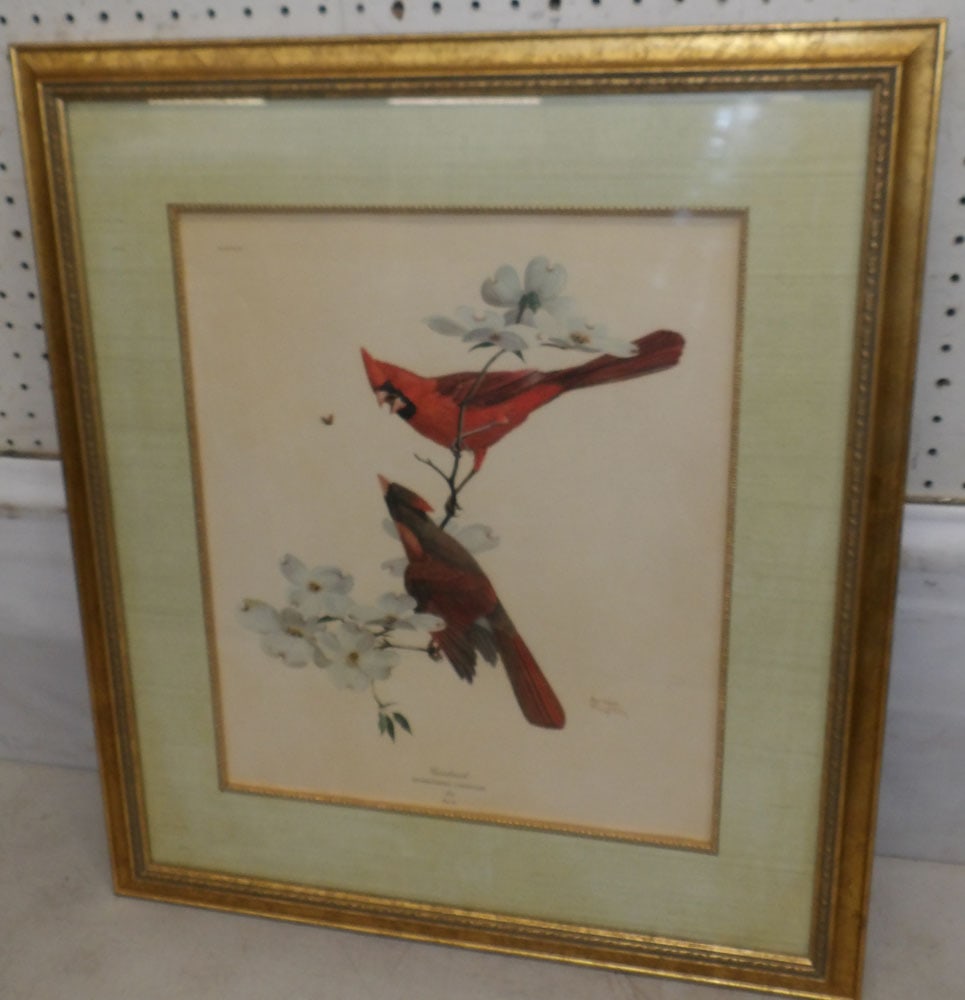 framed bird print (1 of 6)