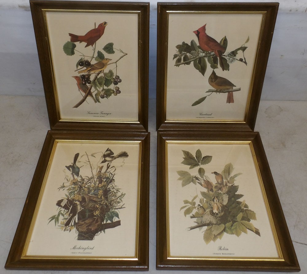 Four Framed Bird Prints (1 of 6)