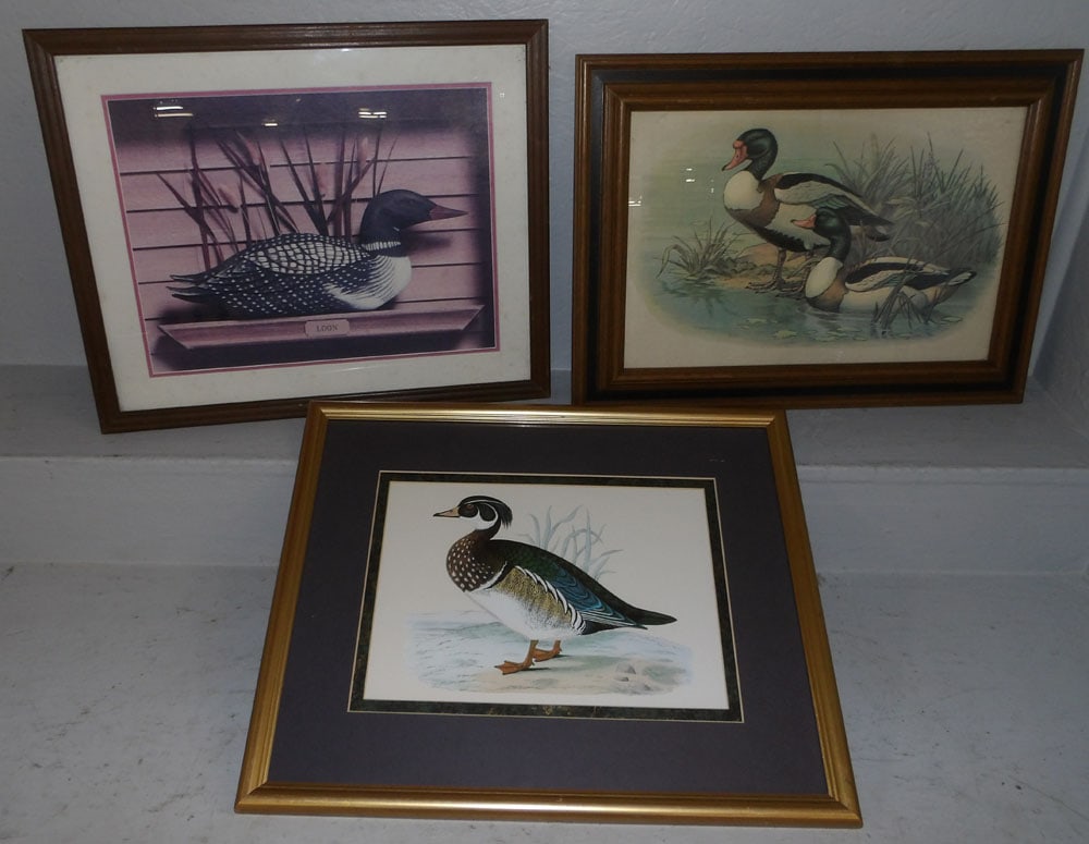 Three Framed Duck Prints (1 of 7)