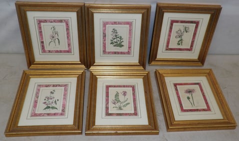lot of botanical framed prints