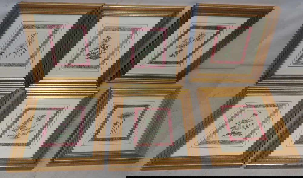 lot of botanical framed prints (1 of 5)