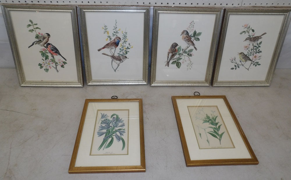 lot of botanical and bird frame prints (1 of 4)