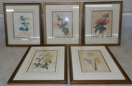 Lot of Framed Botanical Prints