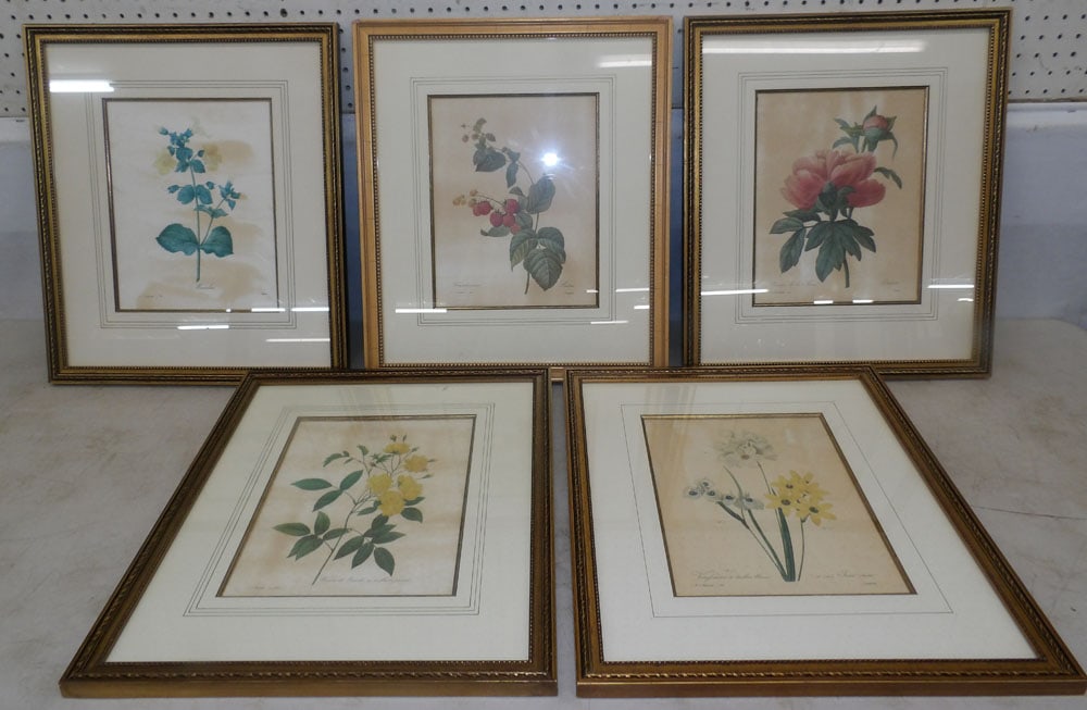 Lot of Framed Botanical Prints (1 of 6)