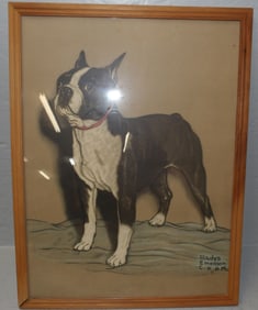 Framed Print of Boxer