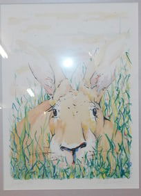 Framed Print Pencil Signed