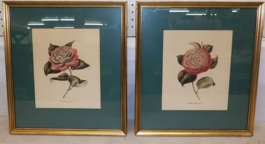 Two Framed Prints