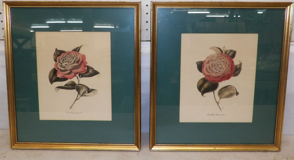Two Framed Prints (1 of 6)