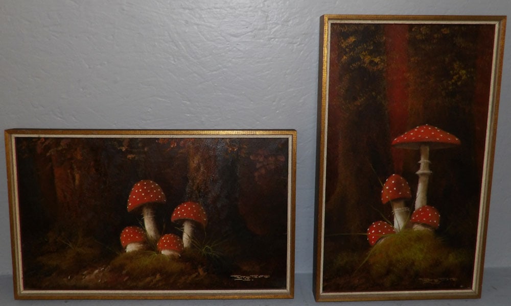 two framed oil on canvas of mushrooms signed by artist (1 of 6)