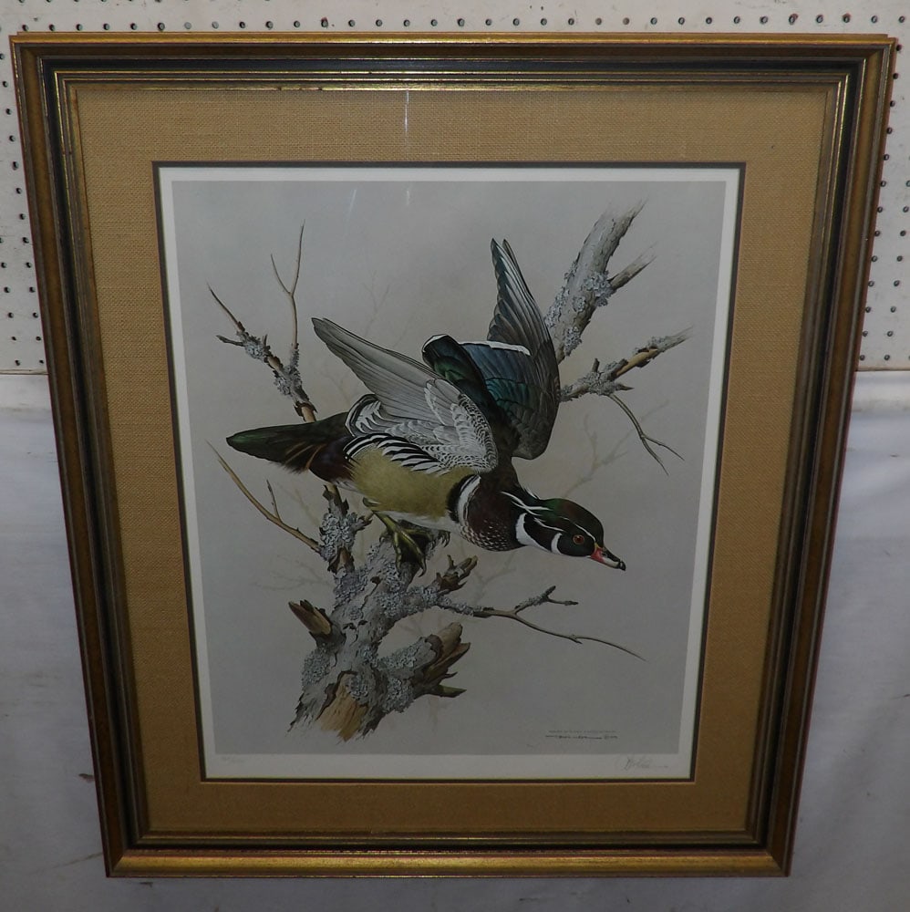 Pencil Signed Duck Print (1 of 4)