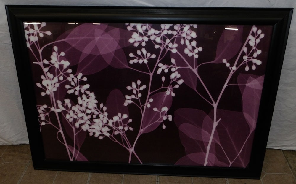 Framed Print (1 of 3)