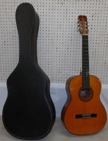 vintage guitar in case