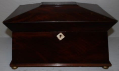19th Century Mahogany Sarcophagus Tea Caddy