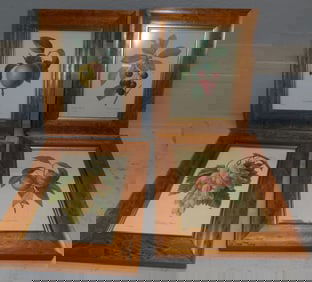 Four Botanical Prints in Birds Eye Maple Frames