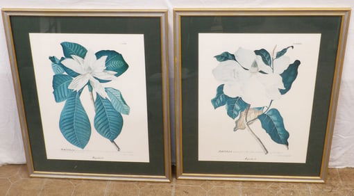 Pair of Framed & Matted Magnolia Botanical Engravings