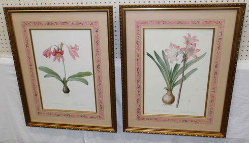 Pair of Framed Botanical Prints