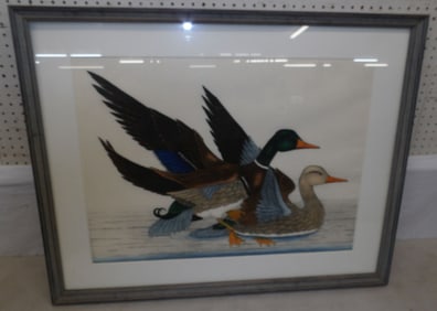 framed duck print