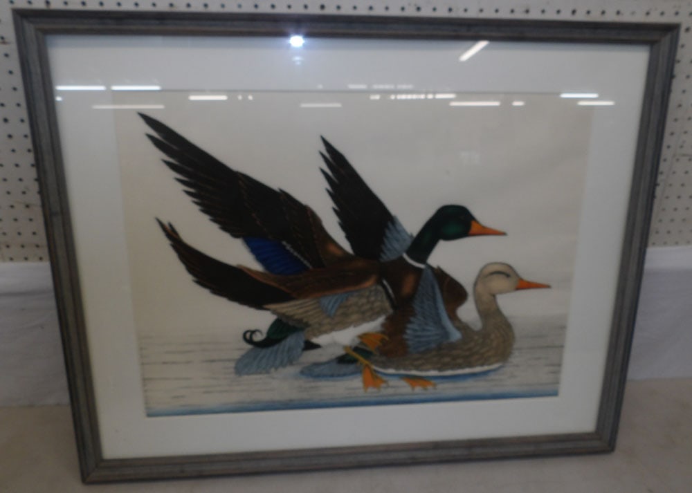 framed duck watercolor: framed duck watercolor 39 3/4" x 31 3/4" "ALL DESCRIPTIONS AND ANY CONDITION STATEMENT GIVEN BY LANGSTON AUCTION GALLERY ARE STRICTLY OPINIONS AND LANGSTON'S SHALL HAVE NO RESPONSIBILITY FOR ERRORS OR
