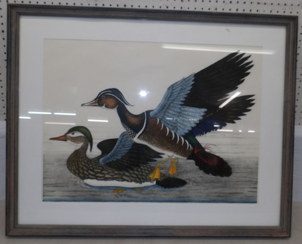 framed duck watercolor: framed duck watercolor . 39 1/2" x 31 1/2" "ALL DESCRIPTIONS AND ANY CONDITION STATEMENT GIVEN BY LANGSTON AUCTION GALLERY ARE STRICTLY OPINIONS AND LANGSTON'S SHALL HAVE NO RESPONSIBILITY FOR ERRORS 