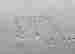 item-15833398=2