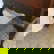 item-208983527=8