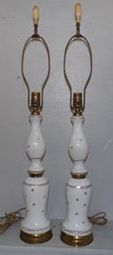 pair of Bristol glass Decorated lamps