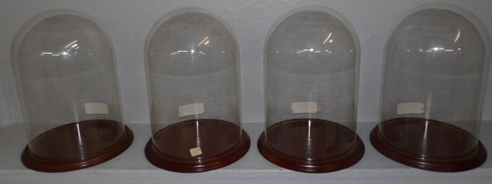 four glass domes on cherry stands